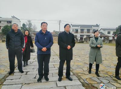 省文旅厅肯定咸安区公共文化服务建设工作
