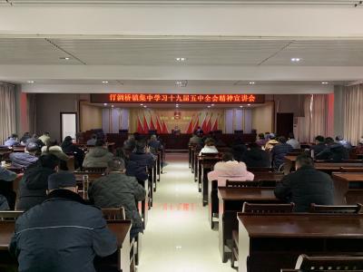 【基层宣讲】汀泗桥镇深入学习贯彻十九届五中全会精神