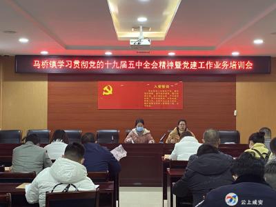 马桥镇召开学习贯彻党的十九届五中全会精神暨党建工作业务培训会