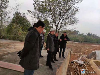 咸安区水利和湖泊局对水利在建工程 开展专项检查