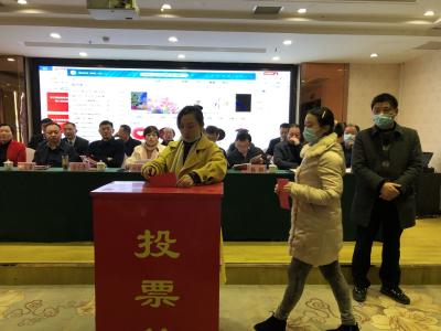 农工党咸安区总支换届 何琼珍当选总支主委