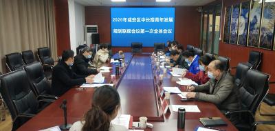 咸安区召开2020年中长期青年发展规划联席会议第一次全体会议
