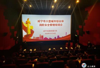 咸宁市召开大型城市综合体消防安全管理现场会