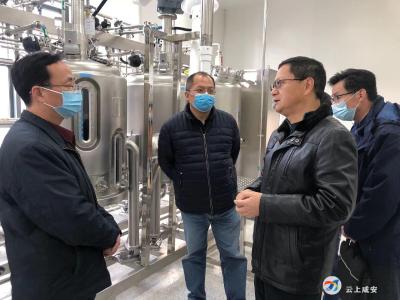 咸安区党外知识分子开展“看变化、凝共识、谋发展”主题活动