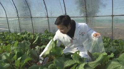 咸安加强“两节”期间农产品质量安全检测