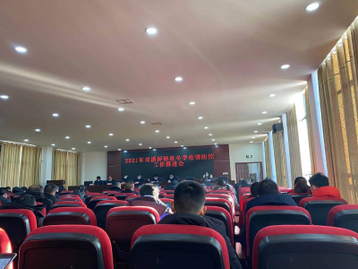双溪桥镇开展秋冬季疫情防控工作推进会