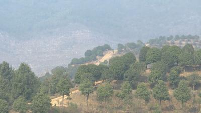 还荒山本色 让绿水青山成为咸安发展靠山