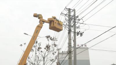 主动巡维 “带电作业”力保佳节用电无忧