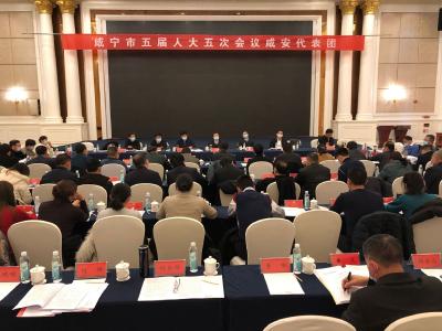王远鹤参加咸安代表团审议：以更大作为 更大担当为咸宁高质量发展做贡献