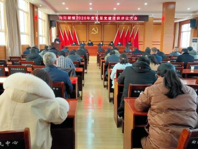 咸安区向阳湖镇召开2020年度基层党建述职评议大会