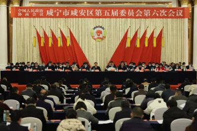 V视 | 政协咸安区五届六次会议隆重开幕