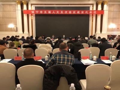 张士军参加咸安代表团审议：谋定而动 以功成必须有我的精神推动咸安更好更快发展
