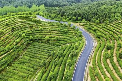 咸安最美农村路榜上提名，快来为家乡的“黄金路”投票