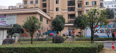 浮山街道办事处：迎新春 过新年