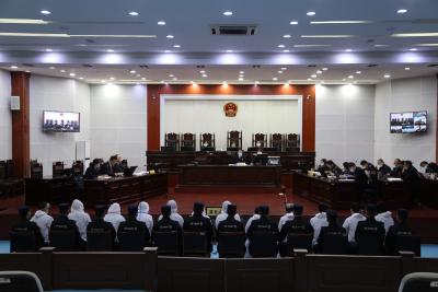 “村霸”镇江南等12人恶势力犯罪集团案开庭审理
