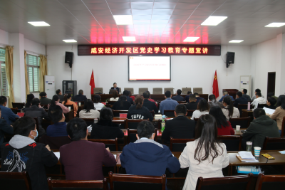 咸安经济开发区召开党史学习教育专题宣讲会