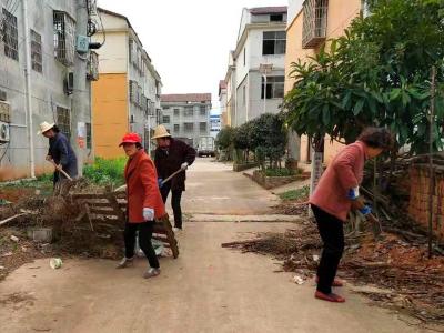 向阳湖镇绿山村：“三八”妇女节  清洁家园我先行