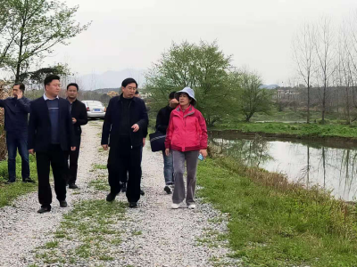双溪：强化巡河保持机制，打赢碧水保卫战