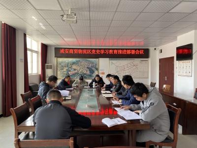 咸安商贸物流区召开党史学习教育工作推进会