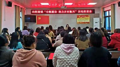 向阳湖镇：学习先进经验  助力乡村振兴