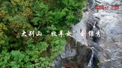 大别山“牧羊女”刘锦秀