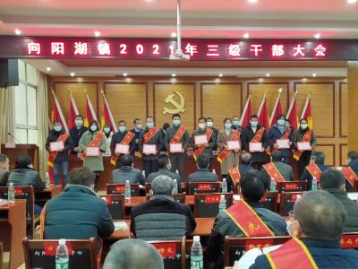 向阳湖镇召开2021年三级干部大会