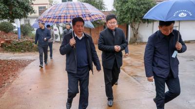 李文波到双溪桥镇调研督办时强调：提升集镇功能 美化村湾环境