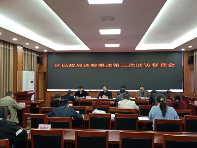 区委巡察工作督导组对区民政局专项巡察