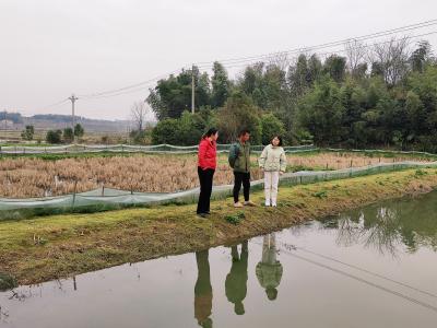 走乡村 看振兴⑤ | 脱贫户勤劳养殖  日子有了新期盼