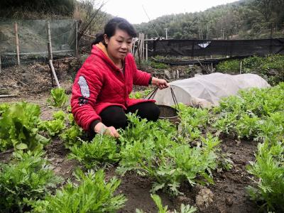 走乡村 看振兴⑨ | 美了村湾富了村民，生态休闲农庄助力乡村旅游  