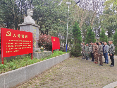 桂花镇组织退役军人开展清明节祭扫活动