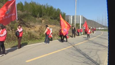 讲党史 拾垃圾 徒步大幕山 咸安百名巾帼志愿者别样活动庆“三八”