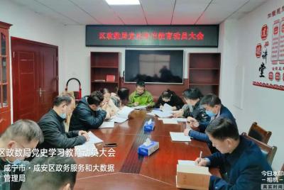 区政数局召开党史学习教育动员大会