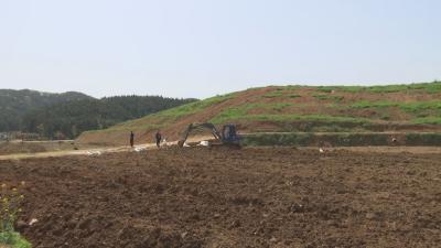 乡村振兴看咸安—— 向阳湖镇：“一村一品”推进乡村产业振兴