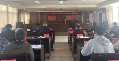 咸安区生态环境分局举办党史学习教育专题讲座