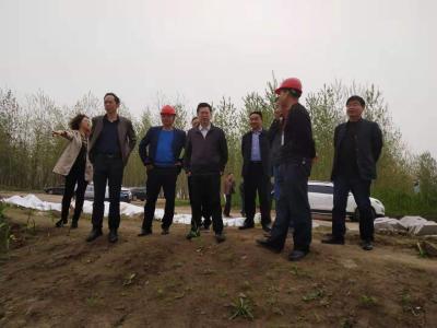 省堤防局督查三峡后续咸安段河道整治工程项目