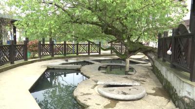 乡村振兴看咸安——马桥镇：乡风文明为产业振兴蓄能