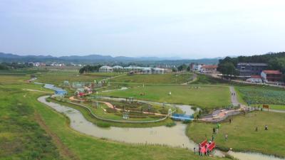 乡村振兴看咸安——开园半年 高桥萝卜公社人气日盛