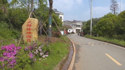 乡村振兴看咸安——官埠桥镇：乡村休闲游 带动城市慢节奏