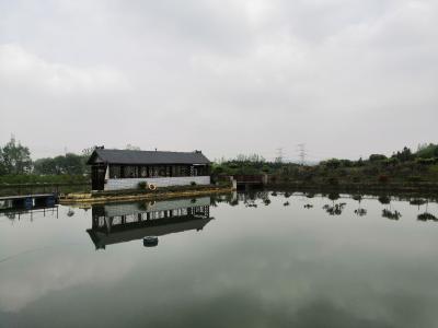 走乡村 看振兴⑭ | 生态农庄铺就绿色致富路