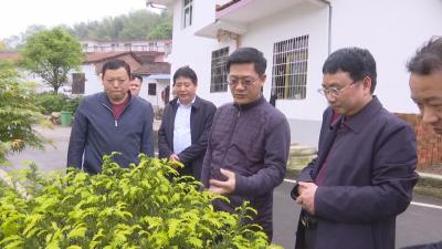 孟祥伟到咸安区调研：保护好绿水青山颜值 发挥好生态优势价值