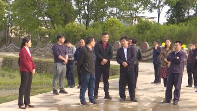 李文波：加快环境整治 打造美丽山村