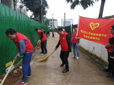 学党史 办实事 志愿服务助力创文