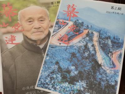【学习强国】湖北咸安：1167名流动党员学史力行“不掉队”