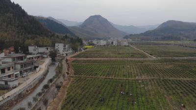 咸安建立防贫监测机制同乡村振兴有效衔接