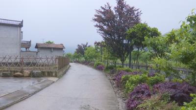 乡村振兴看咸安——大幕乡：打造艺术写生基地 激活大幕文化产业“链条” 带动乡村旅游发展