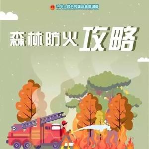 这些森林防火知识，请记牢！