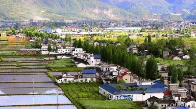 王忠林主持召开省政府常务会议要求 强化责任汇聚合力 全面推进乡村振兴 细化措施破解难题 深化教育评价改革
