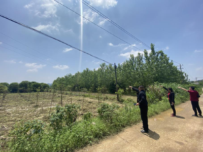 双溪桥镇开展电力安全隐患协调整治