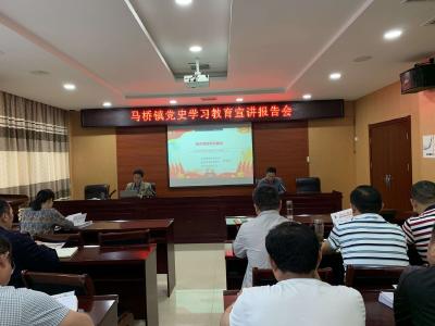 马桥镇召开党史学习教育宣讲报告会